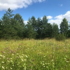 17 соток, участок - изображение 4