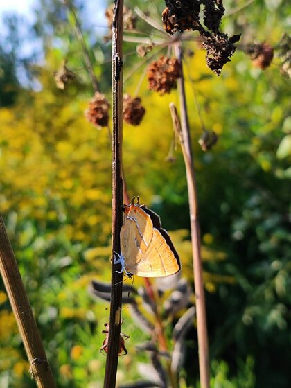 7,7 сотки, участок 3 850 000 ₽ - изображение 30