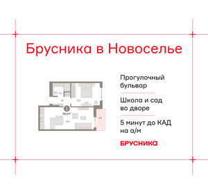 Квартира 50 м², 1-комнатная - изображение 1