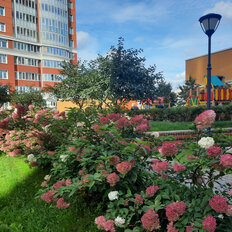 Квартира 27,2 м², студия - изображение 2