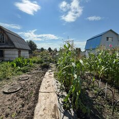 5 соток, участок - изображение 1