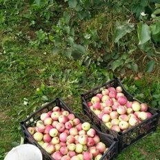 дом + 8,7 сотки, участок - изображение 5