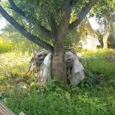 90 соток, участок - изображение 2