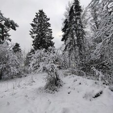 20 соток, участок - изображение 4