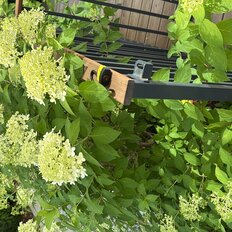 Квартира 193,3 м², 6-комнатная - изображение 5