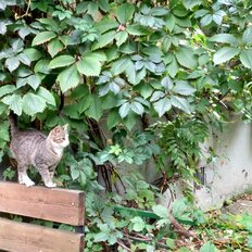 Квартира 60,2 м², 2-комнатная - изображение 1