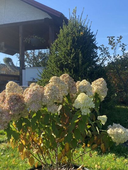 41,8 м² дом, 46 соток участок 1 700 000 ₽ - изображение 36