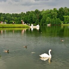 Квартира 59,2 м², 2-комнатная - изображение 1