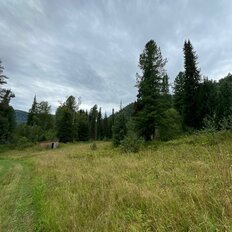 2,5 га, участок - изображение 3