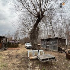 29,1 сотки, участок - изображение 5