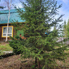 дом + 6 соток, участок - изображение 3