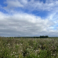 46 соток, участок коммерческого назначения - изображение 2
