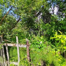 5 соток, участок - изображение 4