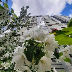 Квартира 113 м², 3-комнатная - изображение 4