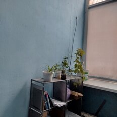 Квартира 19 м², 1-комнатная - изображение 1