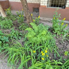 Квартира 62,1 м², 2-комнатная - изображение 1