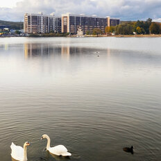 Квартира 38,1 м², 1-комнатная - изображение 2