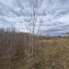 8,1 сотки, участок - изображение 3