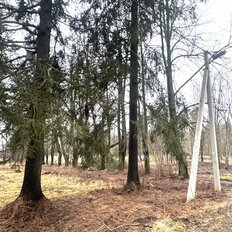 20,7 сотки, участок - изображение 2