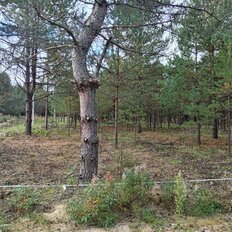 8 соток, участок - изображение 2