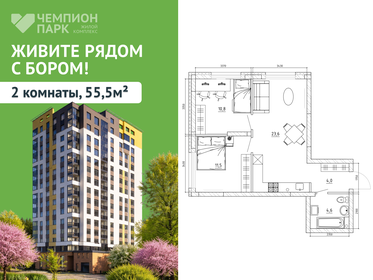 Квартира 55,5 м², 2-комнатная - изображение 1