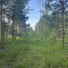 40 соток, участок - изображение 1