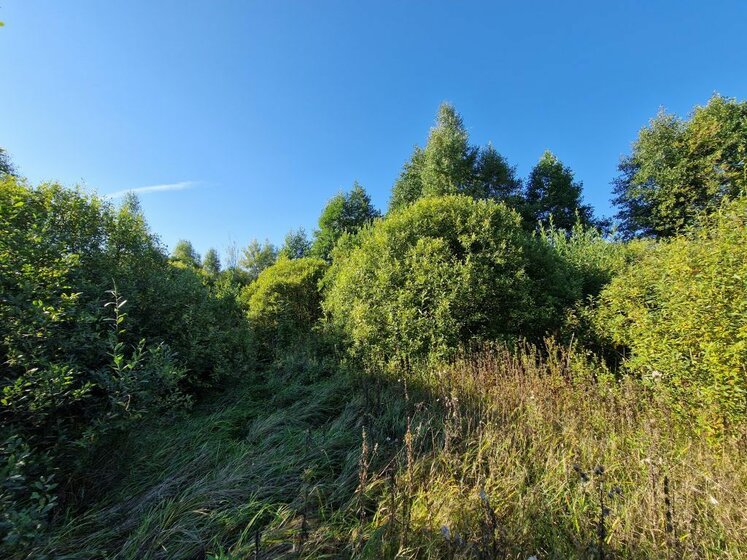 50 м² дом, 8 соток участок 1 299 000 ₽ - изображение 42