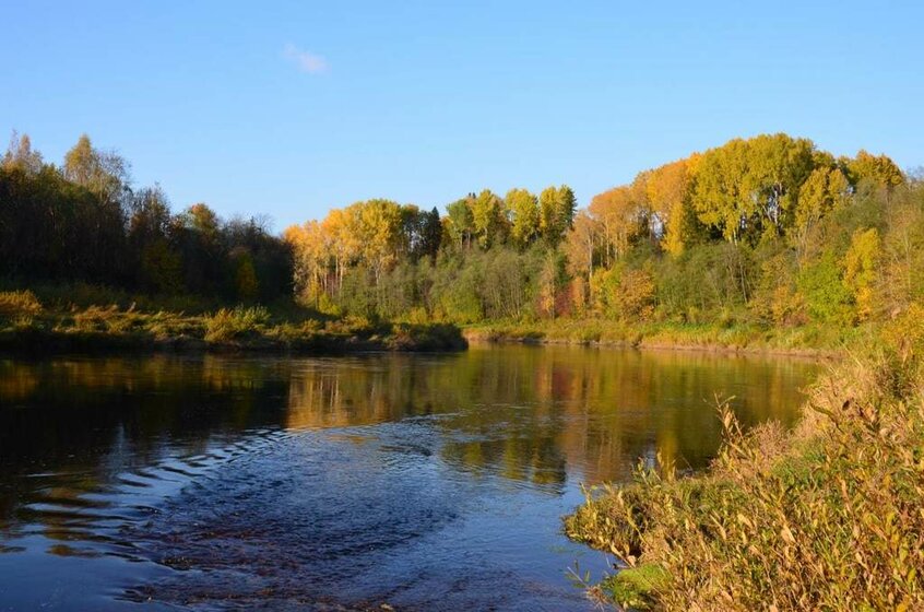 44,9 м², 2-комнатная квартира 1 600 000 ₽ - изображение 22