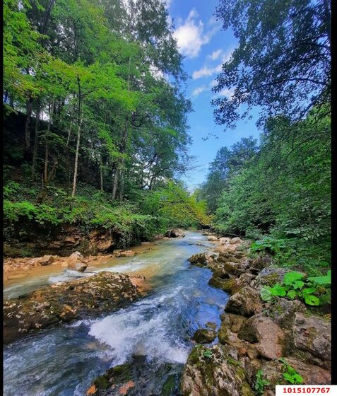 5 соток, участок 700 000 ₽ - изображение 23