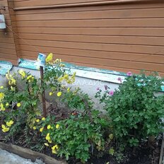 дом + 3,3 сотки, участок - изображение 2