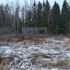 8,6 сотки, участок - изображение 2