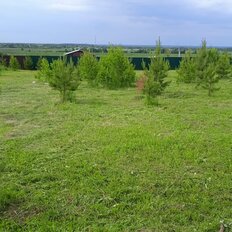 8,6 сотки, участок - изображение 2