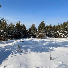 11 соток, участок - изображение 3