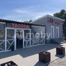 7 соток, участок - изображение 3