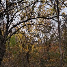 6,2 сотки, участок - изображение 2