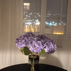 Квартира 40,4 м², 1-комнатная - изображение 3