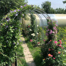 дом + 4 сотки, участок - изображение 3