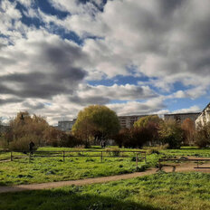 Квартира 45,9 м², 2-комнатная - изображение 4