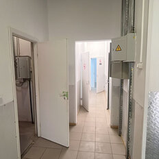238,4 м², помещение свободного назначения - изображение 3