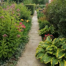 дом + 15 соток, участок - изображение 4