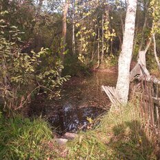 14,7 сотки, участок - изображение 1