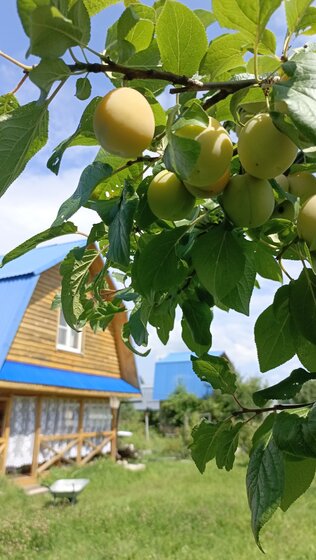 105 м² дом, 11 соток участок 7 655 000 ₽ - изображение 56