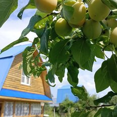 дом + 8 соток, участок - изображение 4