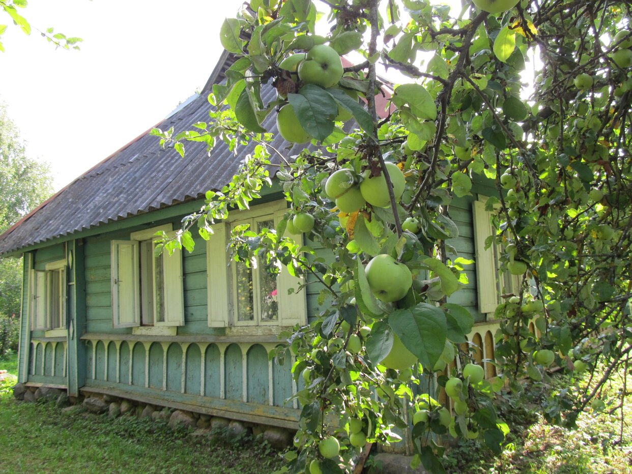 Дом 50 м² в Псковская область — фото 6 из 12