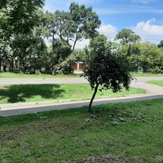 Квартира 38,3 м², 1-комнатная - изображение 1