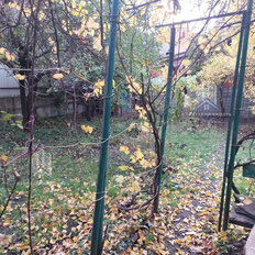 6 соток, участок - изображение 5