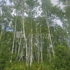 12 соток, участок - изображение 1