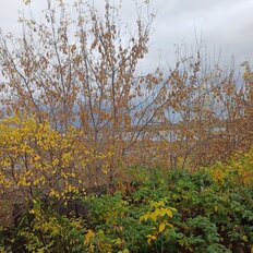 дом + 2,7 сотки, участок - изображение 5