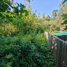 7,1 сотки, участок - изображение 1