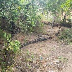 9,9 сотки, участок - изображение 3